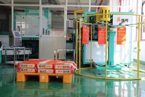 粮辰新景，科技造梦 金山90后用VR与木艺重塑稻田时光